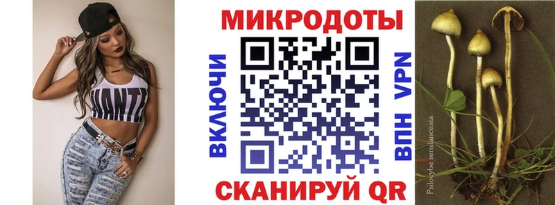 Псилоцибиновые грибы мухоморы  Себеж 